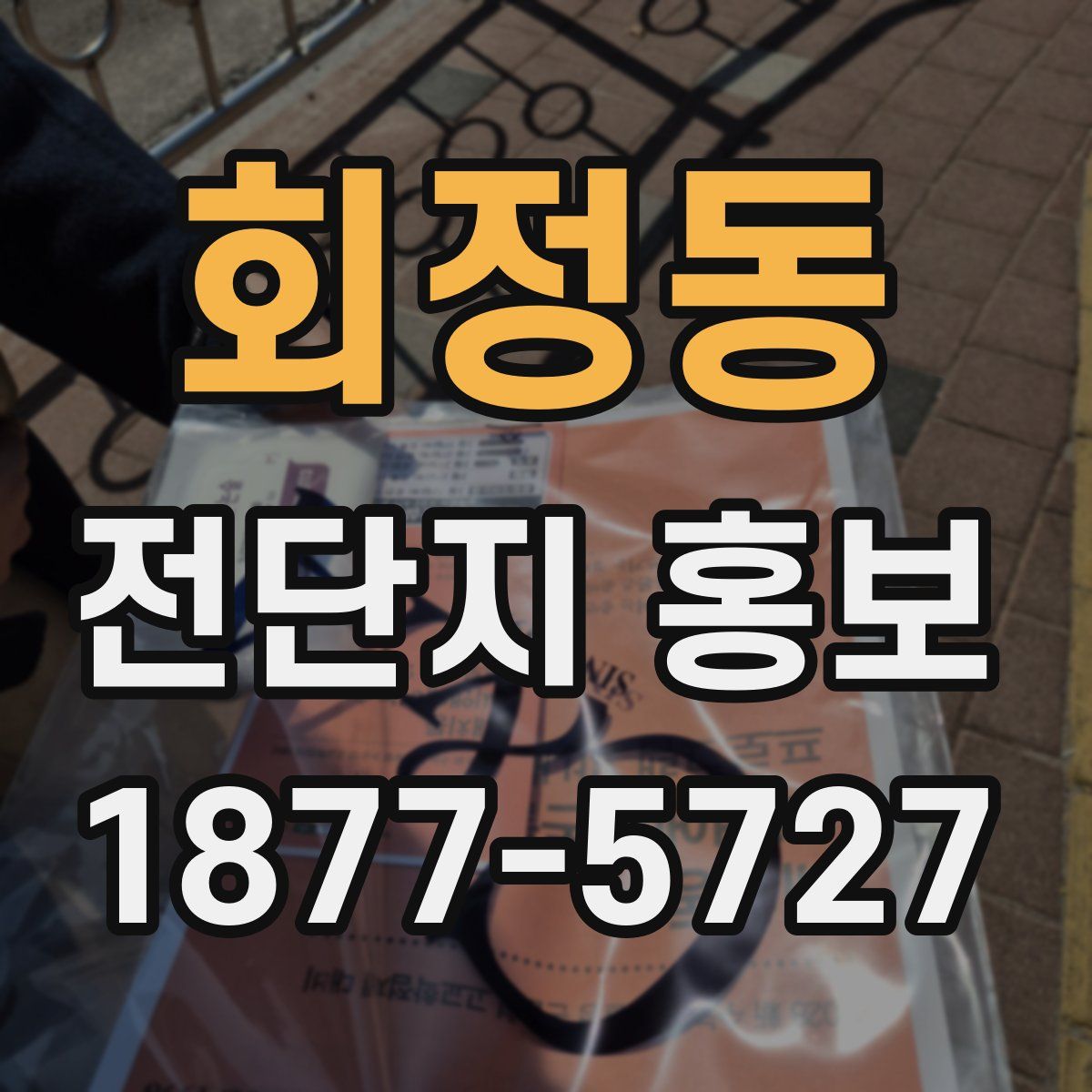 회정동 전단지 홍보