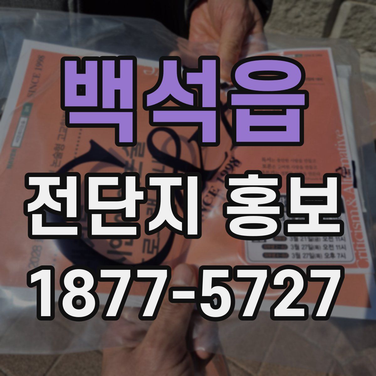 백석읍 전단지 홍보