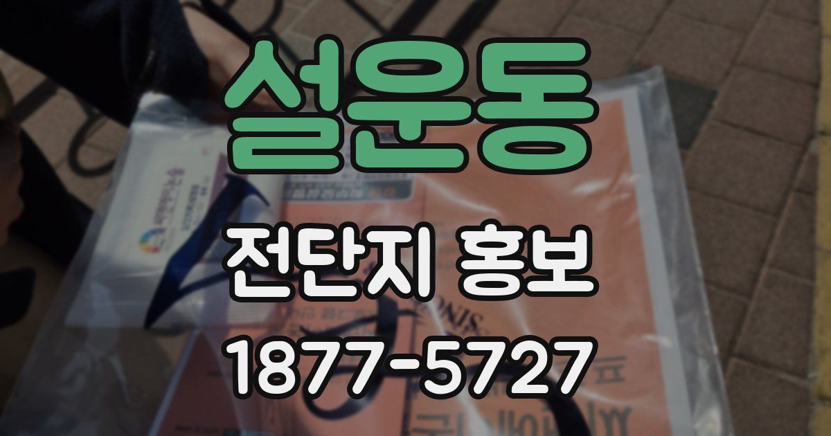 설운동 전단지 홍보