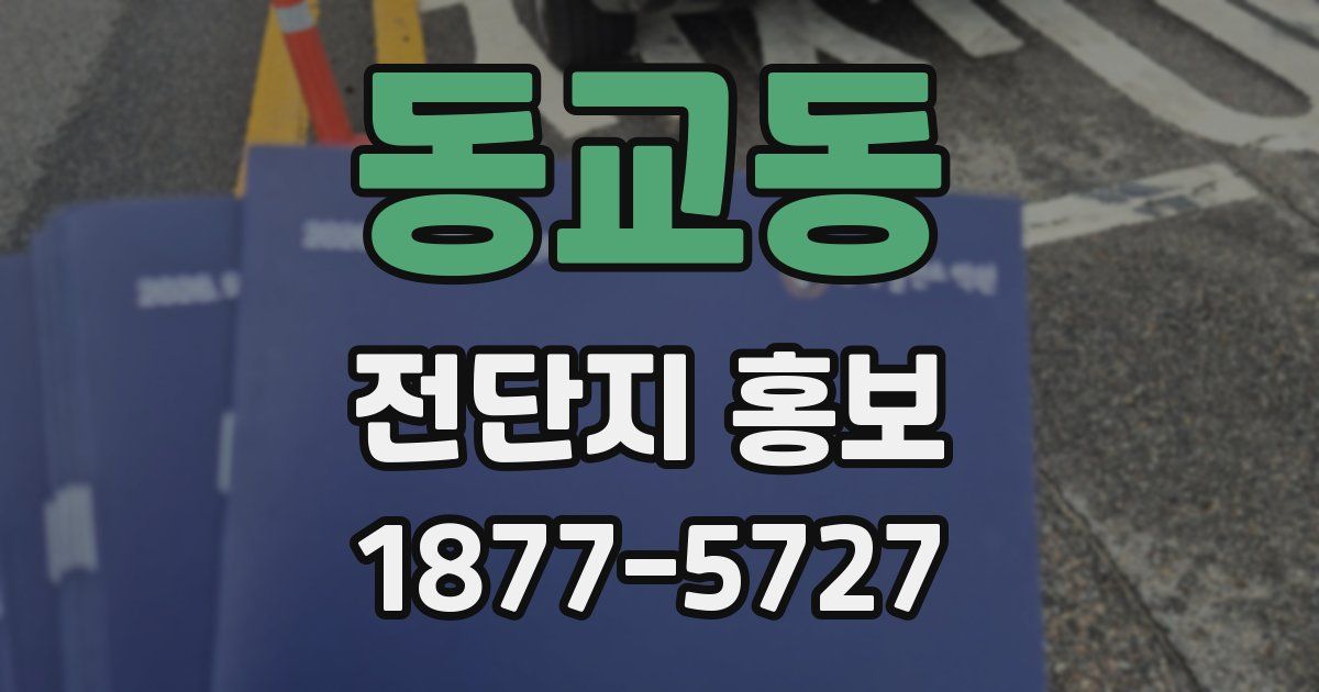 동교동 전단지 홍보