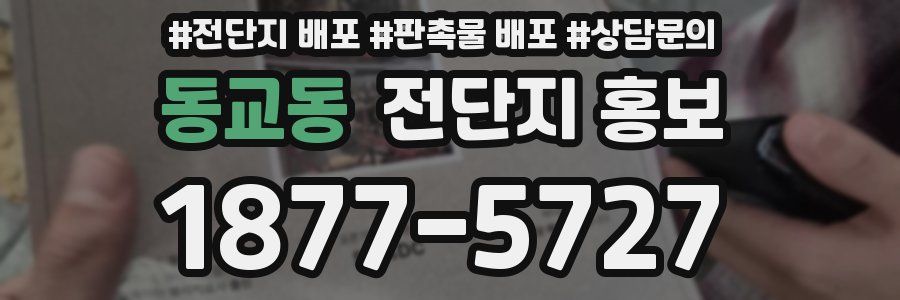 동교동 전단지 홍보