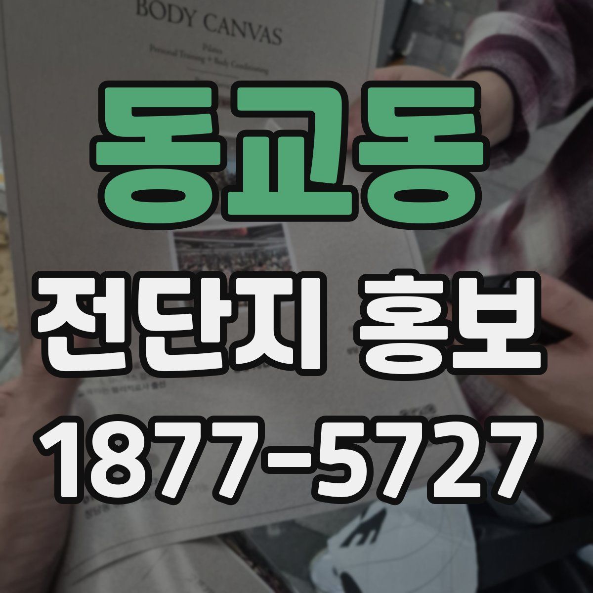 동교동 전단지 홍보