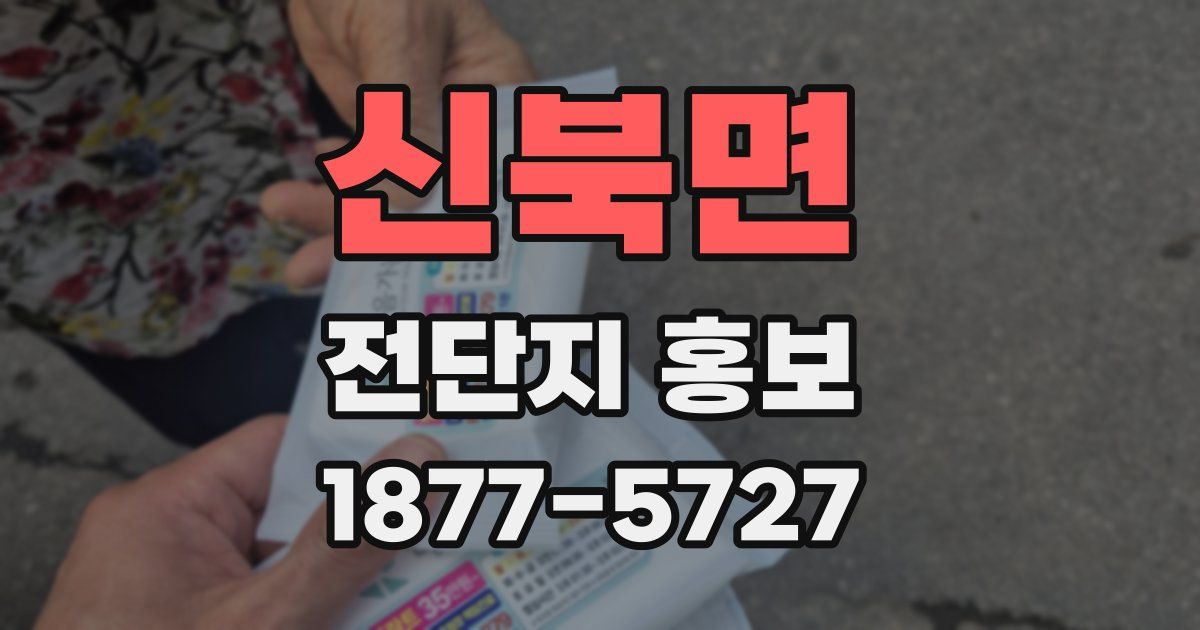 신북면 전단지 홍보