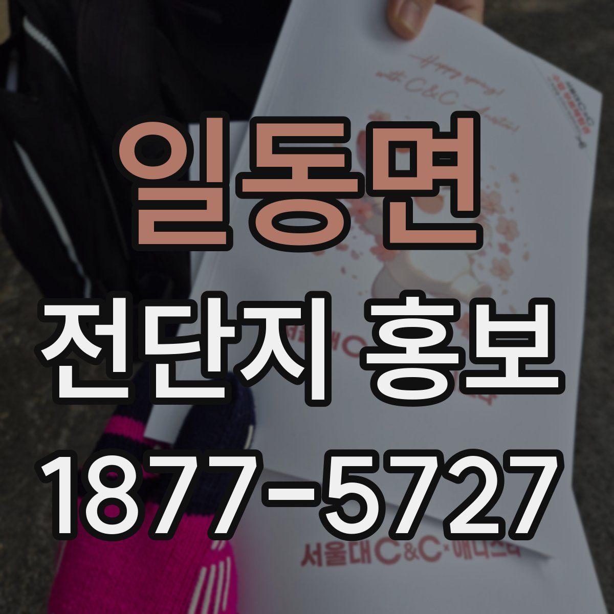 일동면 전단지 홍보