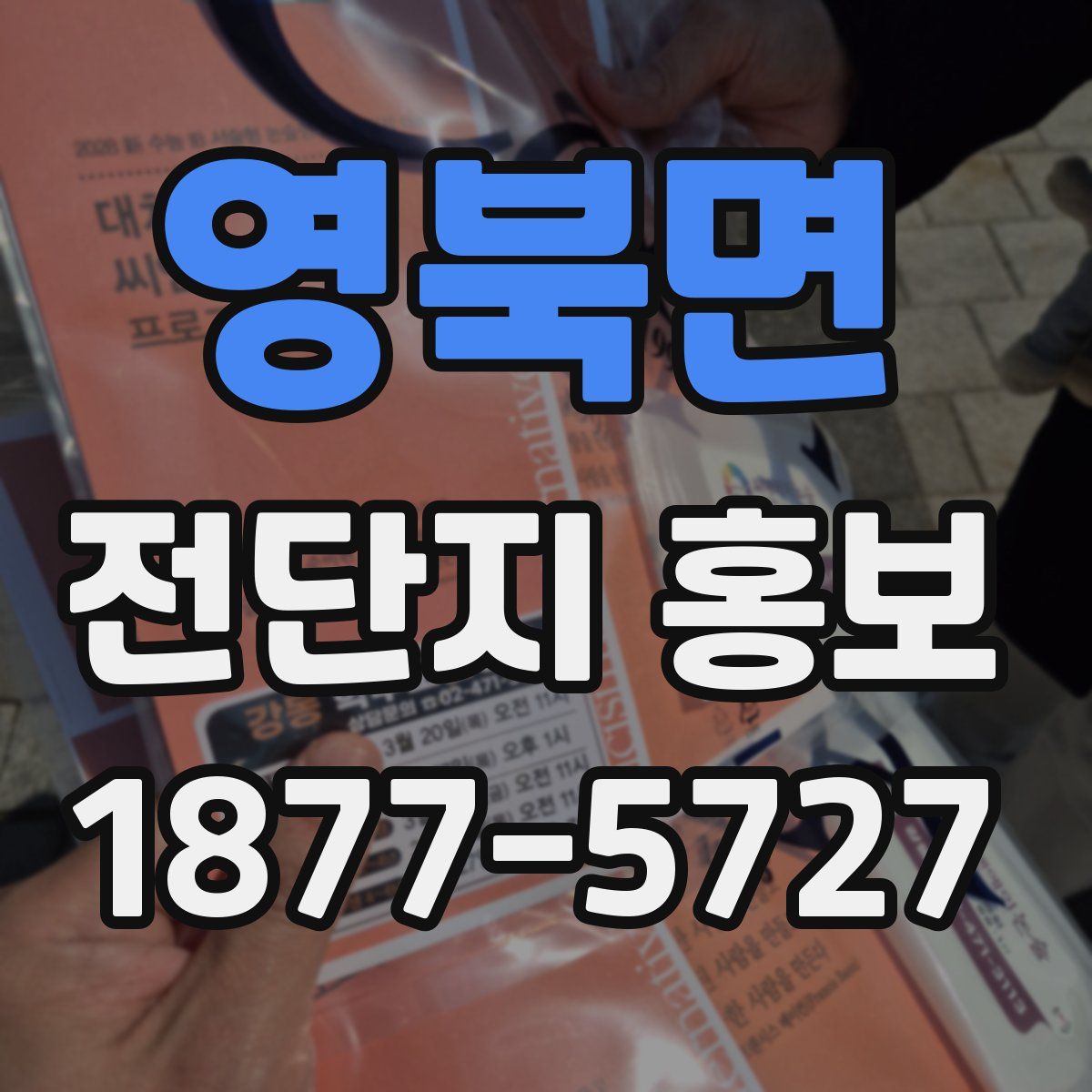 영북면 전단지 홍보