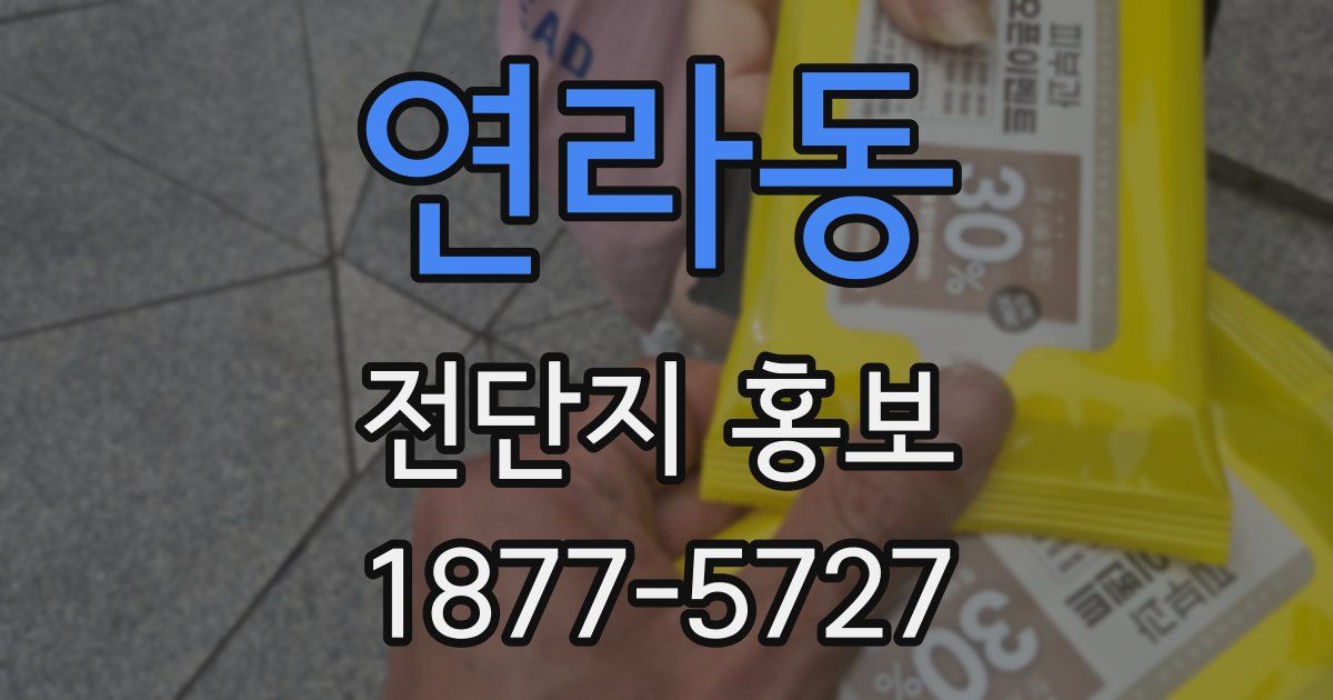 연라동 전단지 홍보