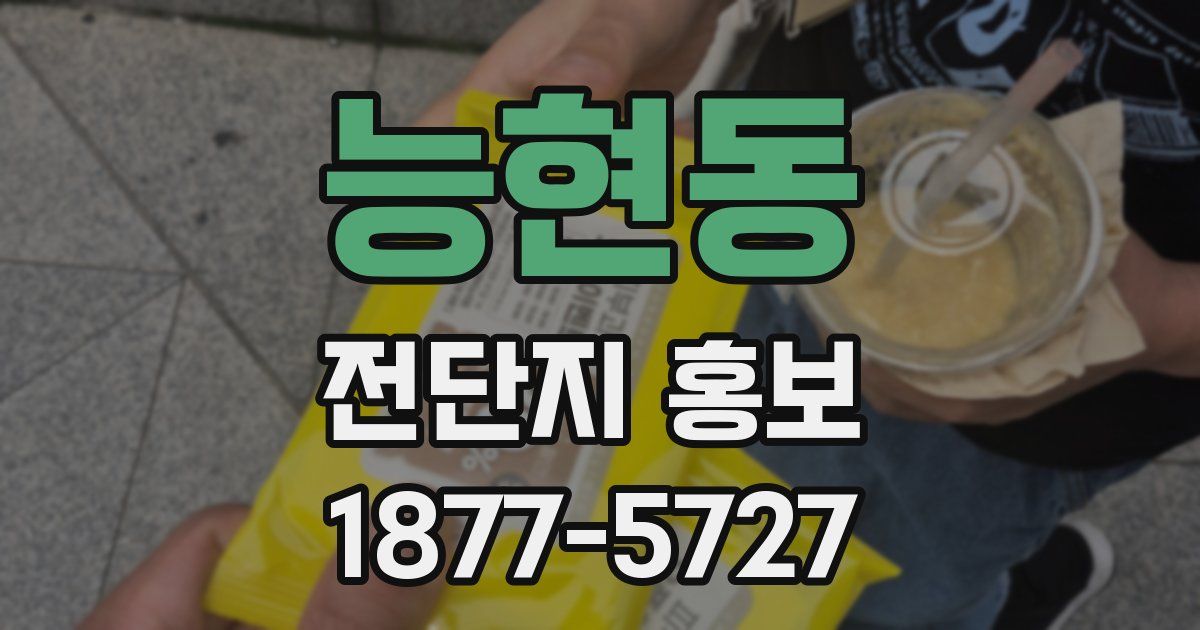 능현동 전단지 홍보