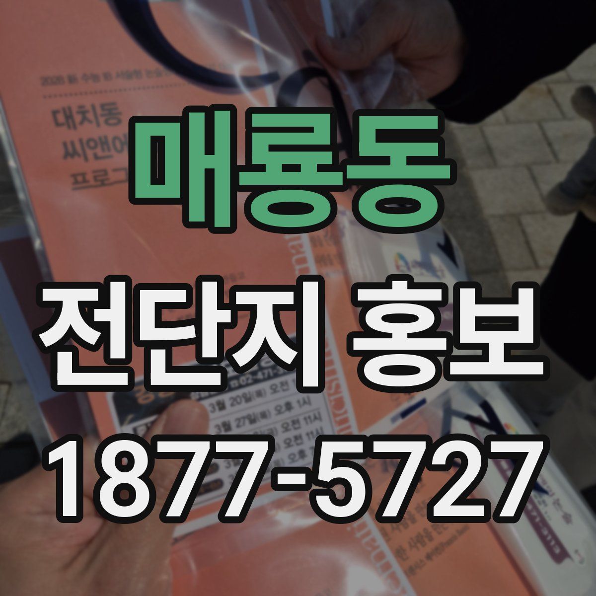 매룡동 전단지 홍보