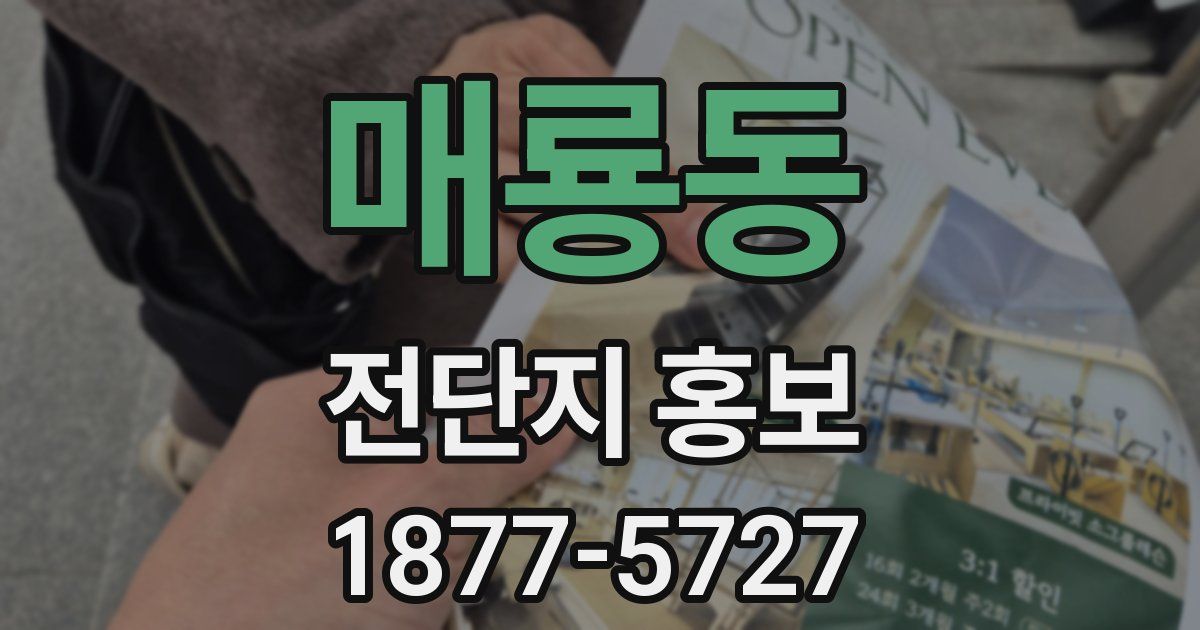 매룡동 전단지 홍보