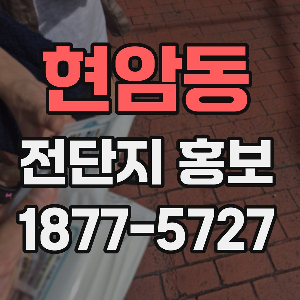 현암동 전단지 홍보