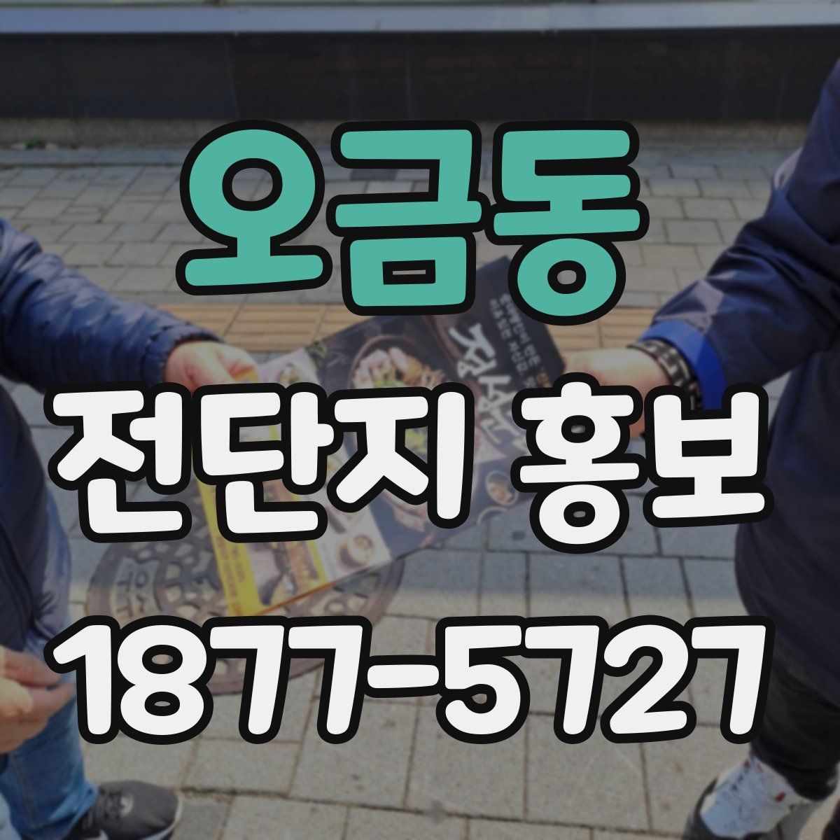 오금동 전단지 홍보