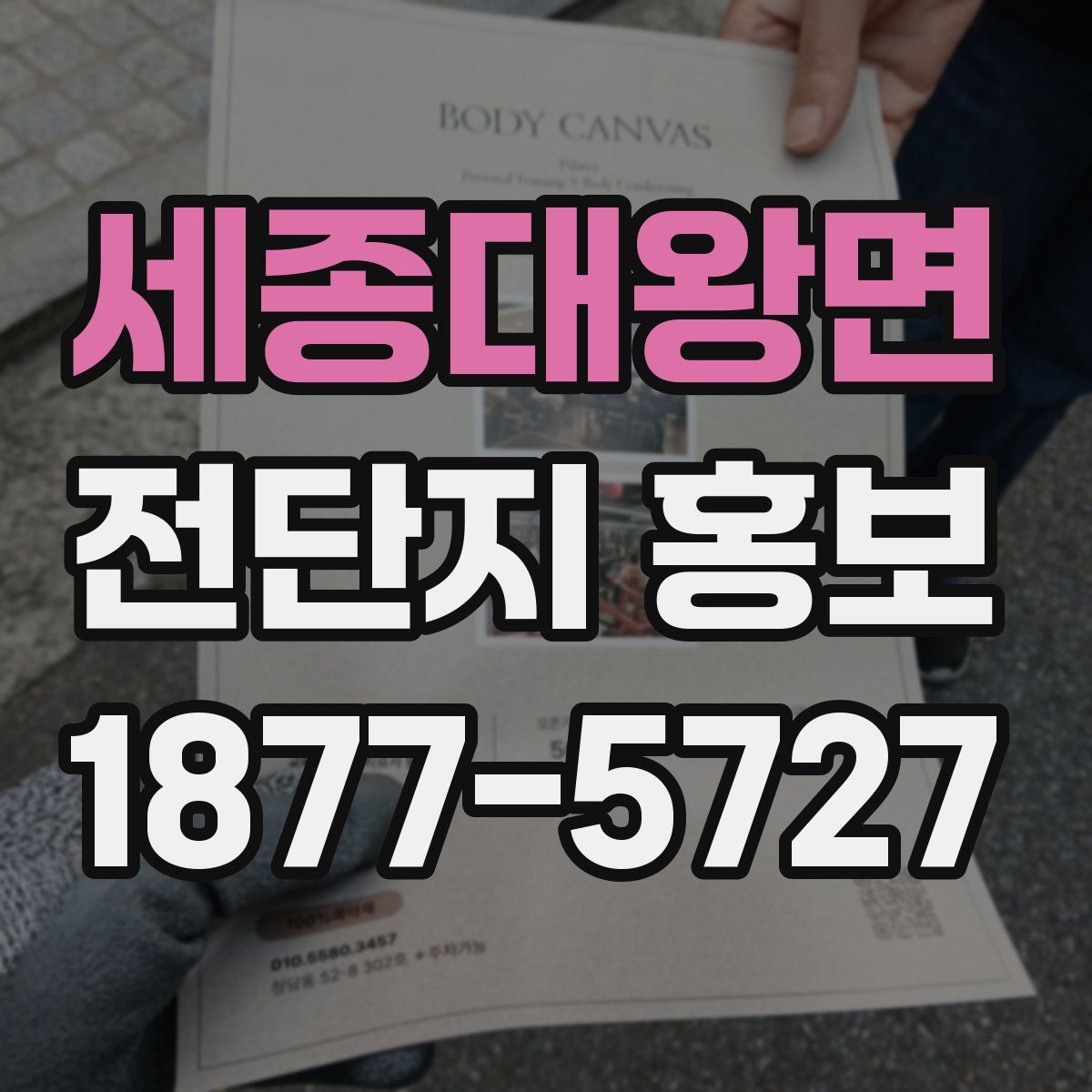 세종대왕면 전단지 홍보