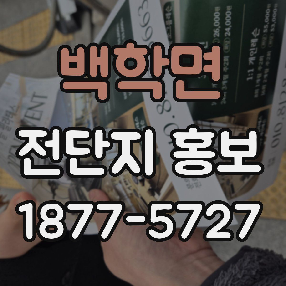 백학면 전단지 홍보