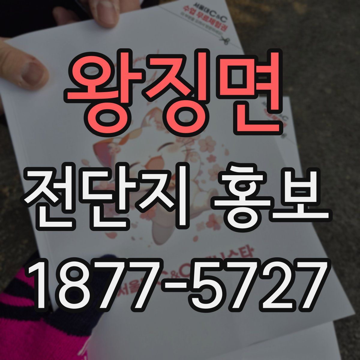 왕징면 전단지 홍보