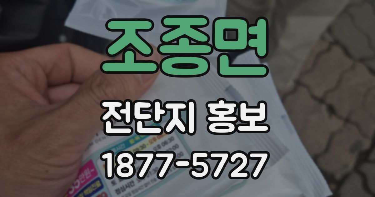 조종면 전단지 홍보