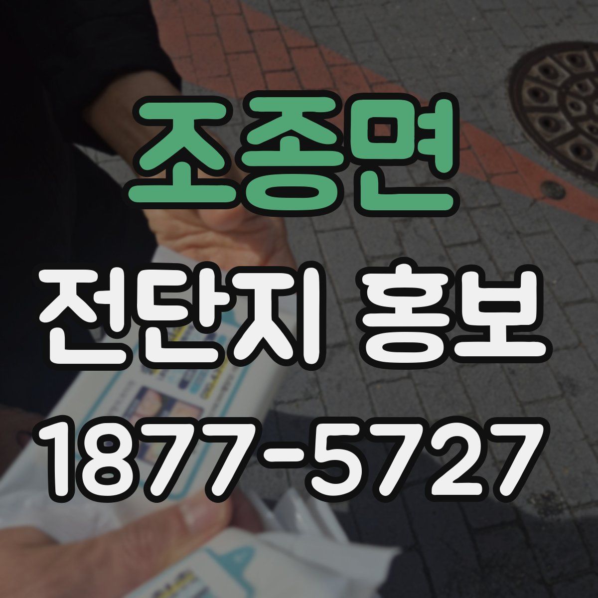 조종면 전단지 홍보