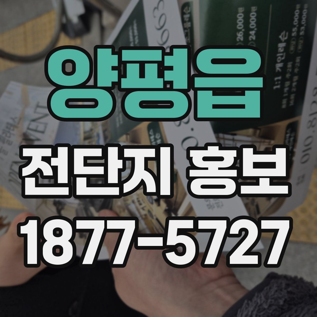 양평읍 전단지 홍보