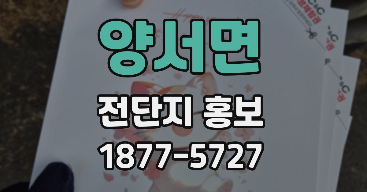 양서면 전단지 홍보
