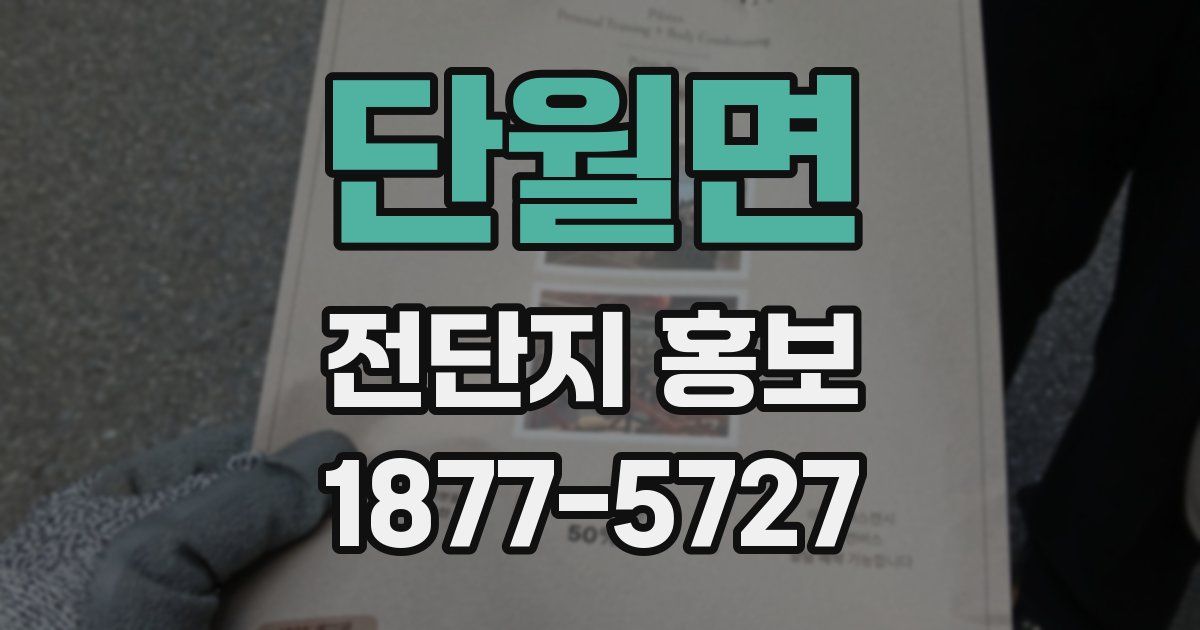 단월면 전단지 홍보