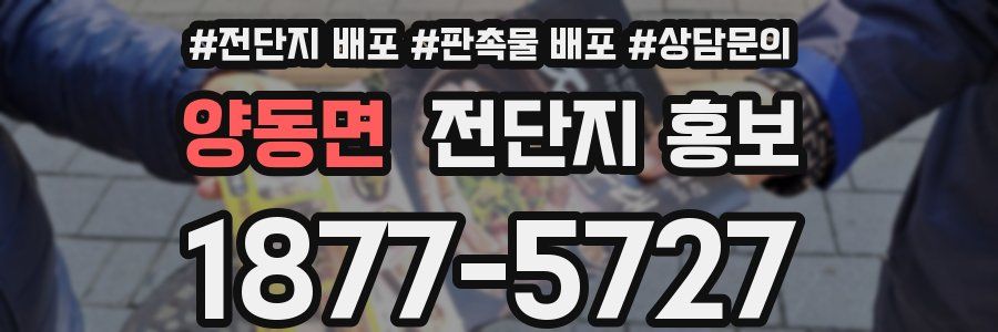 양동면 전단지 홍보