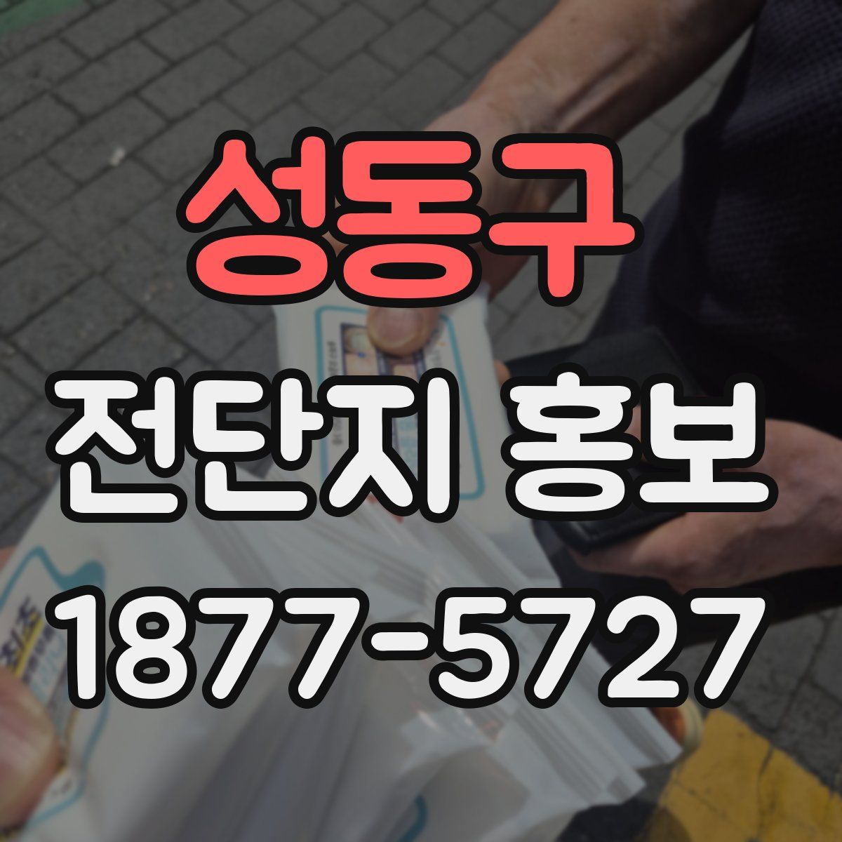 성동구 전단지 홍보