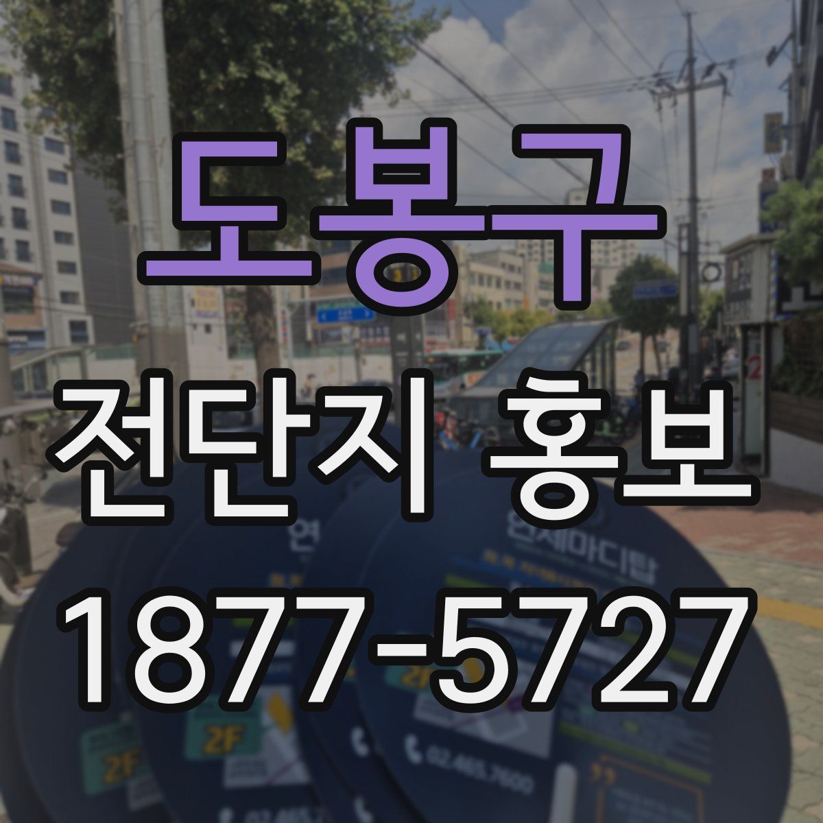 도봉구 전단지 홍보