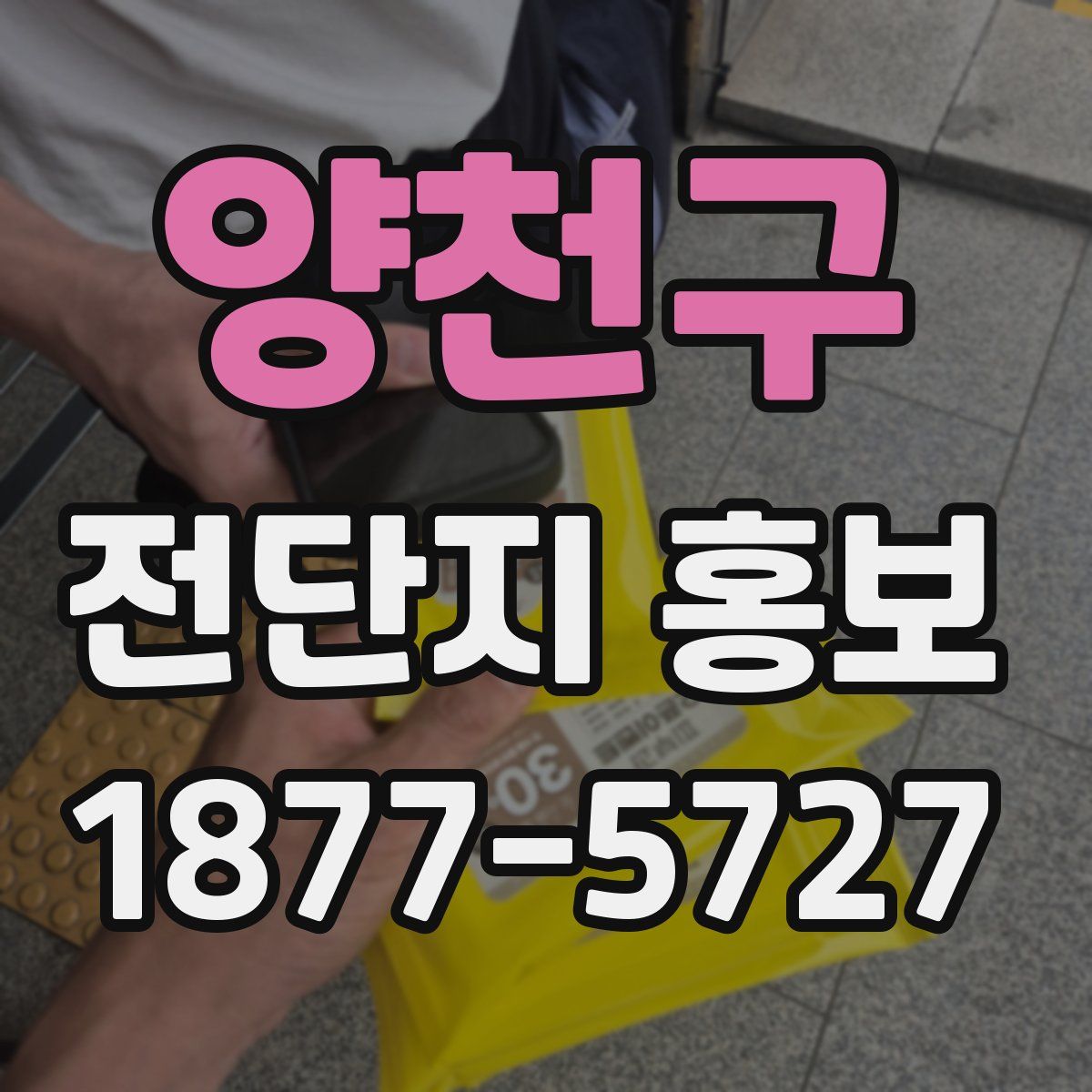양천구 전단지 홍보