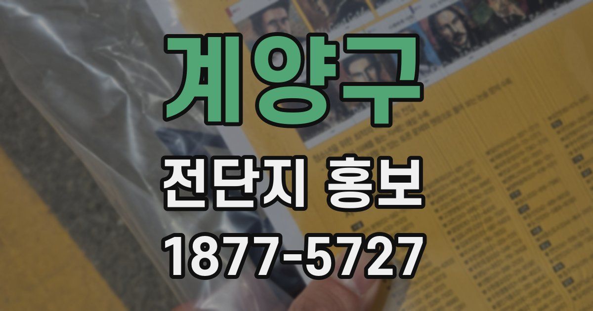 계양구 전단지 홍보