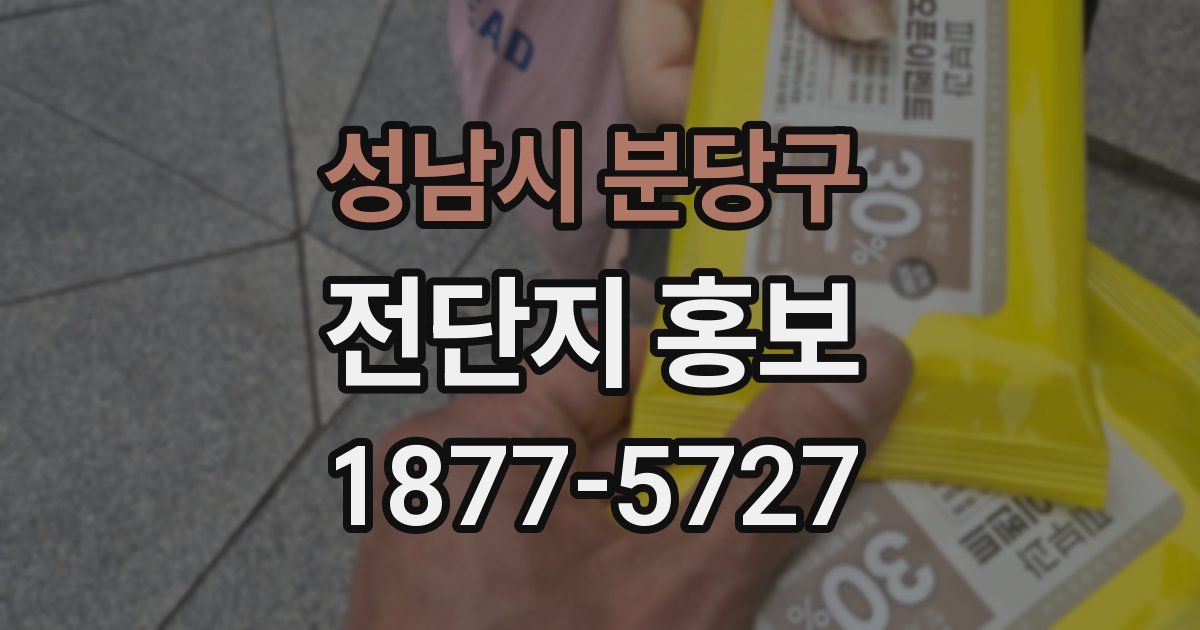 성남시 분당구 전단지 홍보