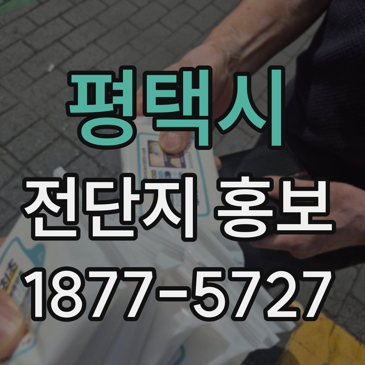 평택시 전단지 홍보