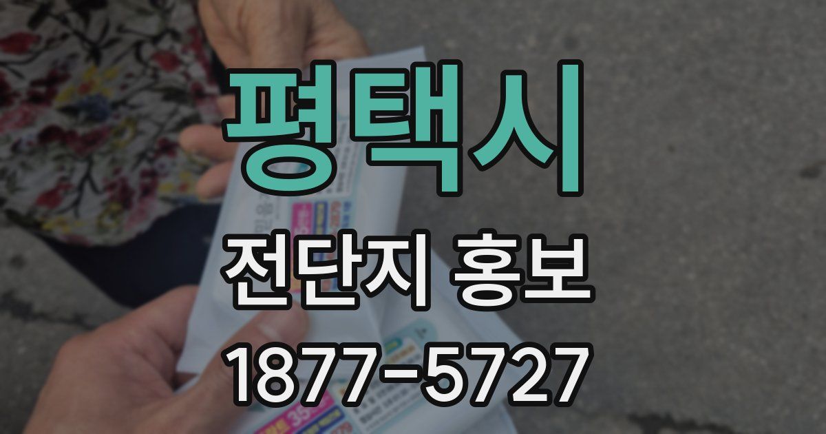 평택시 전단지 홍보