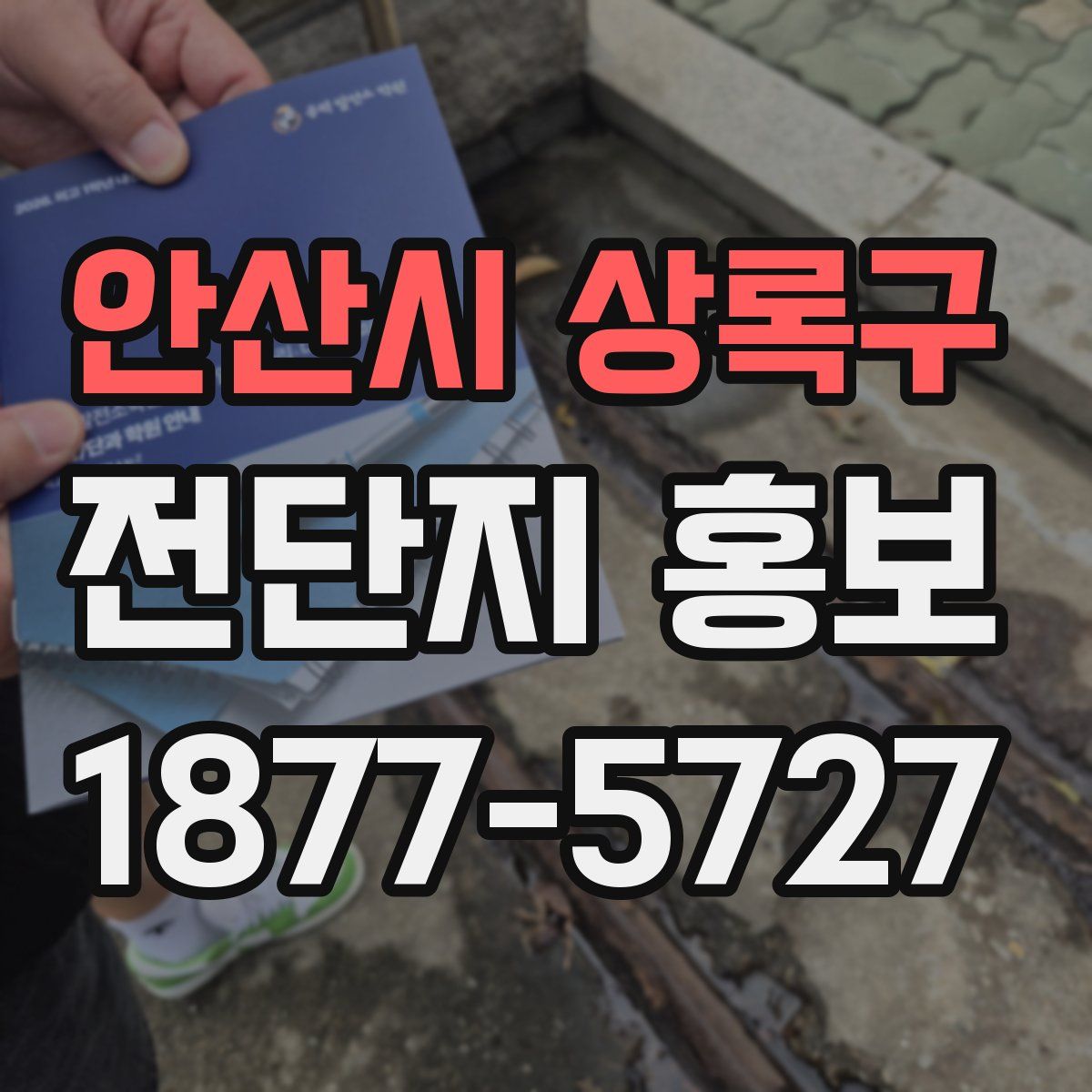 안산시 상록구 전단지 홍보