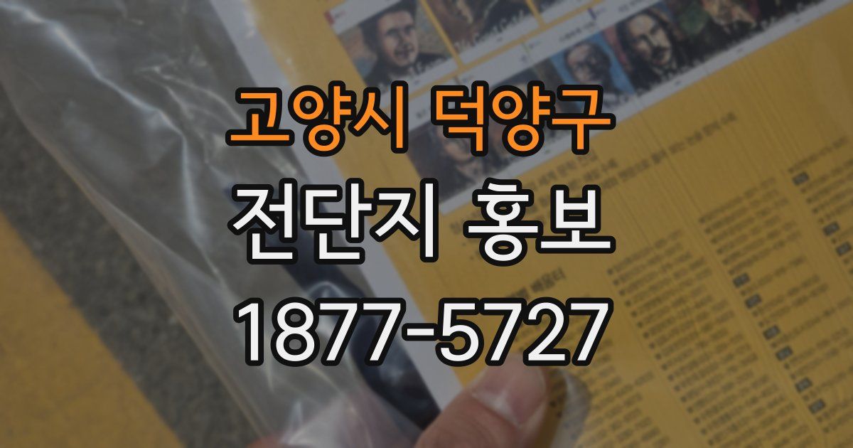 고양시 덕양구 전단지 홍보