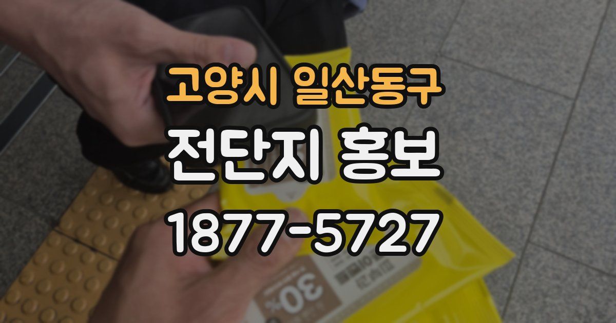 고양시 일산동구 전단지 홍보