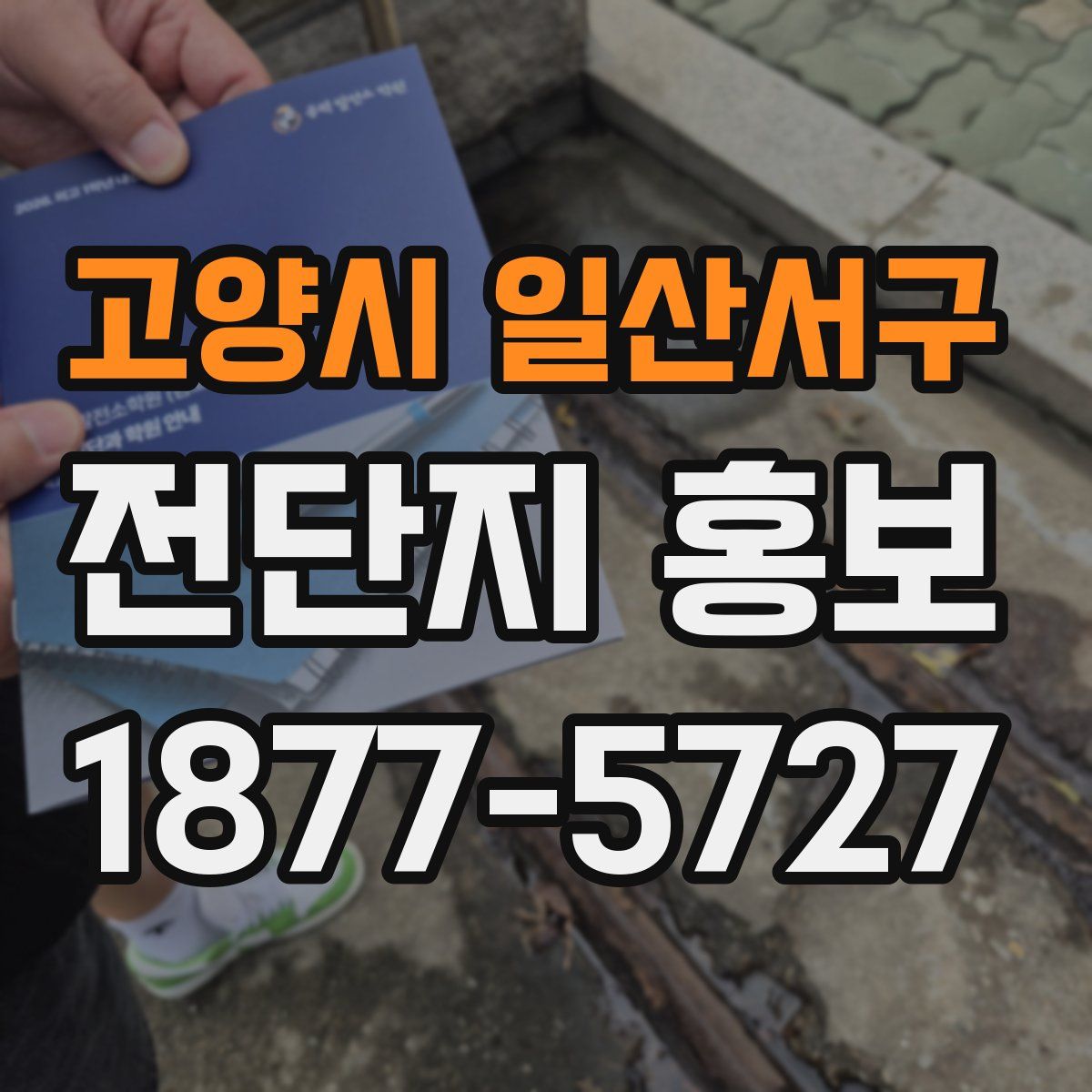고양시 일산서구 전단지 홍보