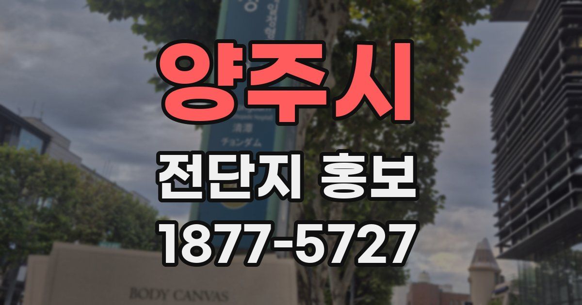 양주시 전단지 홍보