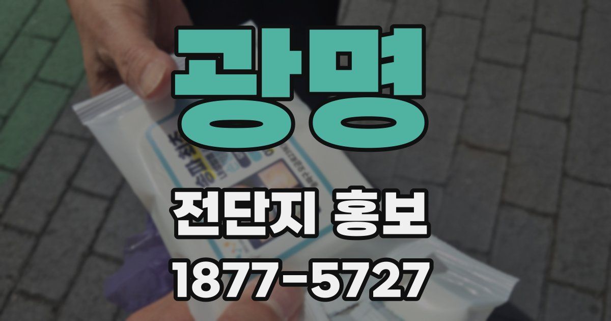 광명 전단지 홍보