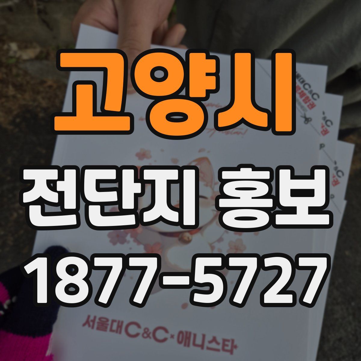 고양시 전단지 홍보
