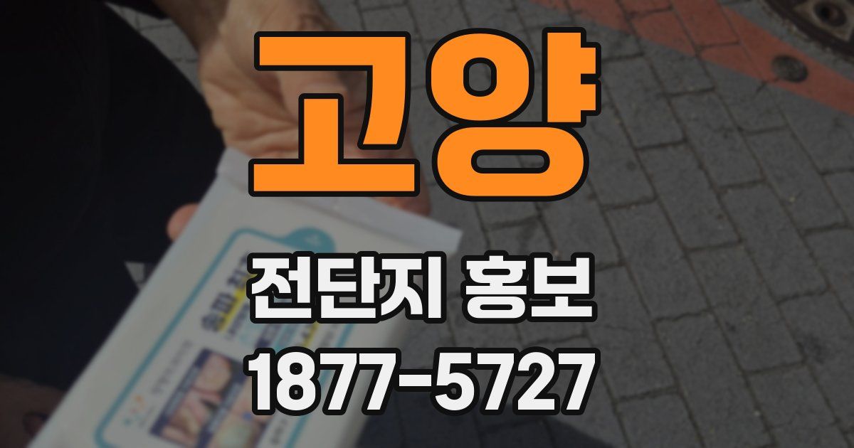 고양 전단지 홍보