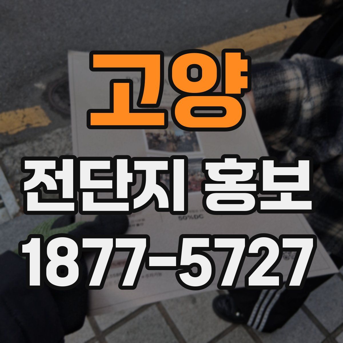 고양 전단지 홍보