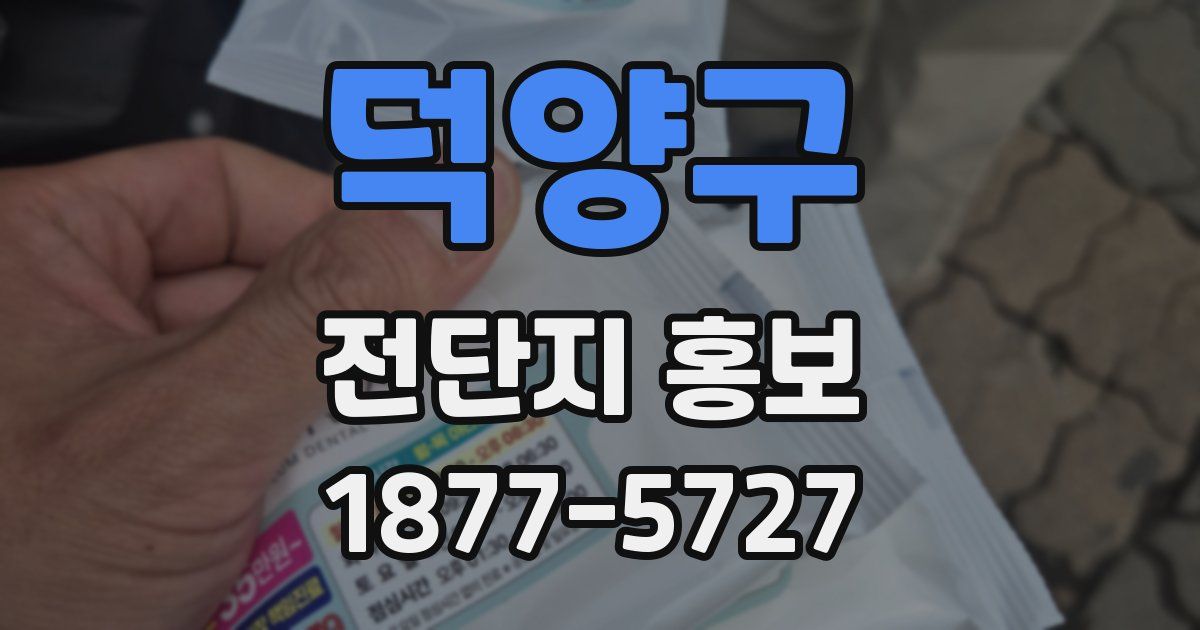 덕양구 전단지 홍보