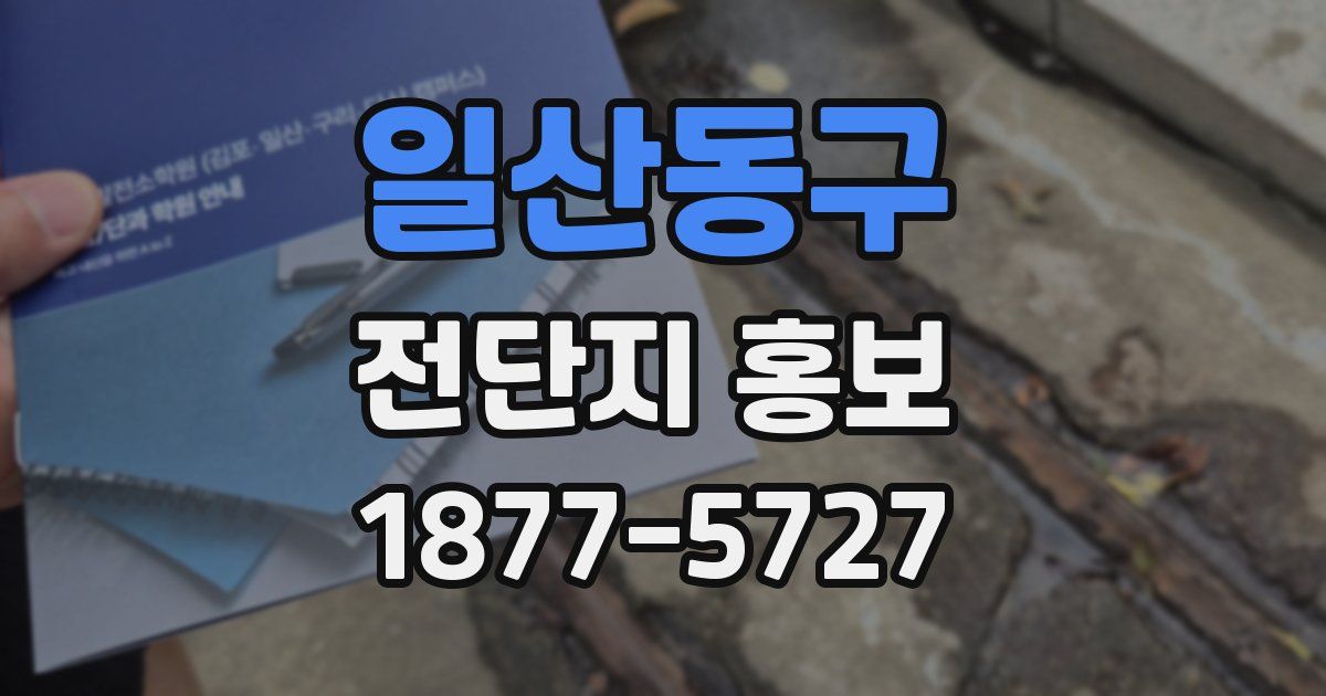 일산동구 전단지 홍보