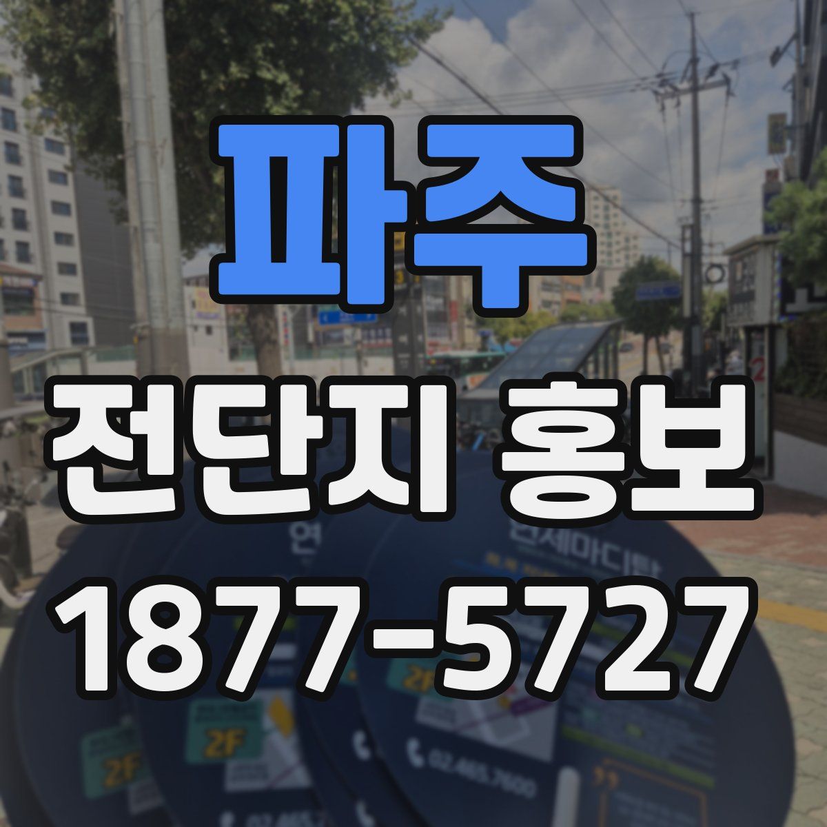 파주 전단지 홍보