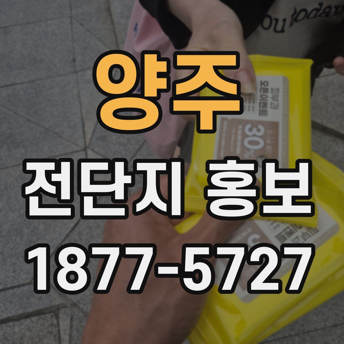 양주 전단지 홍보