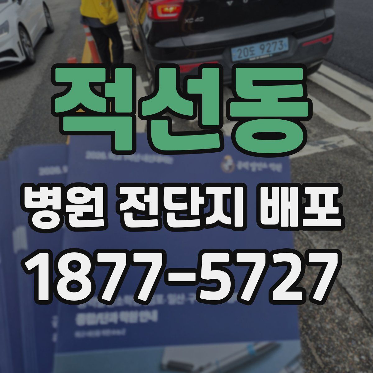 적선동 병원 전단지 배포