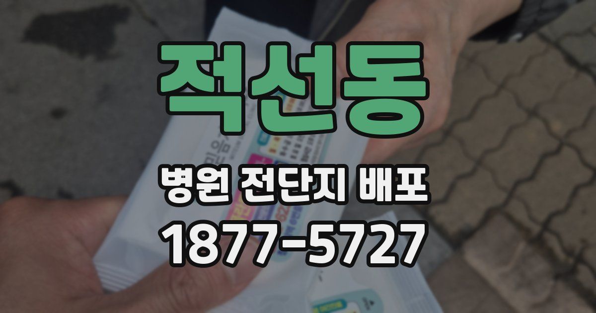 적선동 병원 전단지 배포