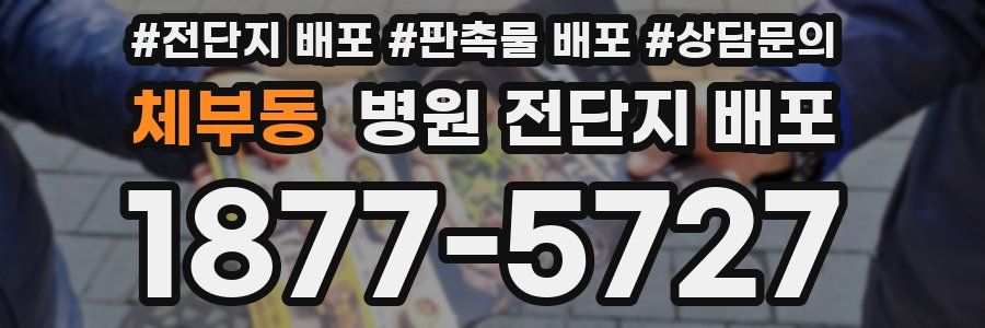 체부동 병원 전단지 배포