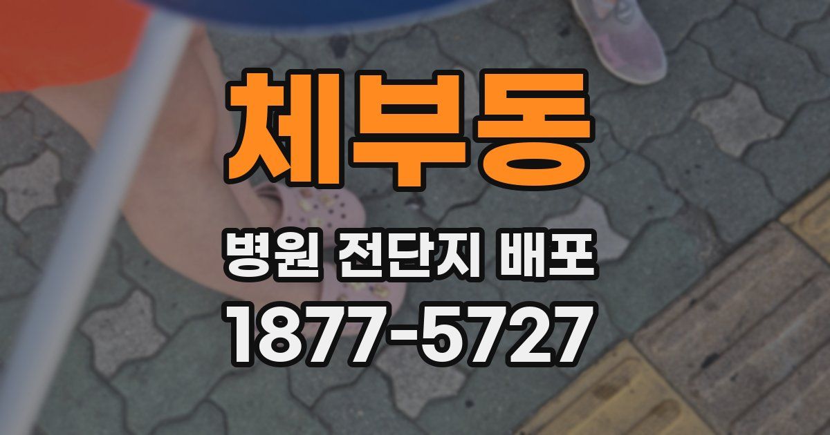 체부동 병원 전단지 배포