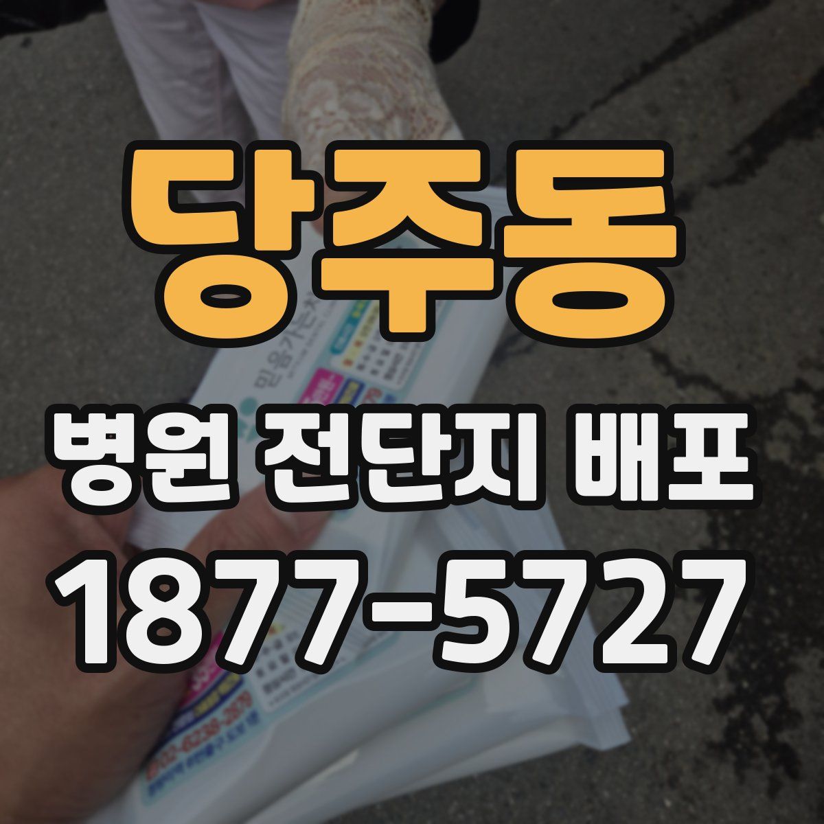 당주동 병원 전단지 배포
