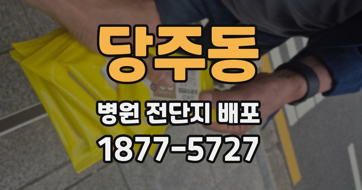 당주동 병원 전단지 배포